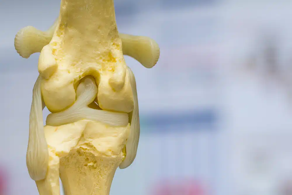 Knieschmerzen Behandlung in der Osteopathie Praxis Butt in München